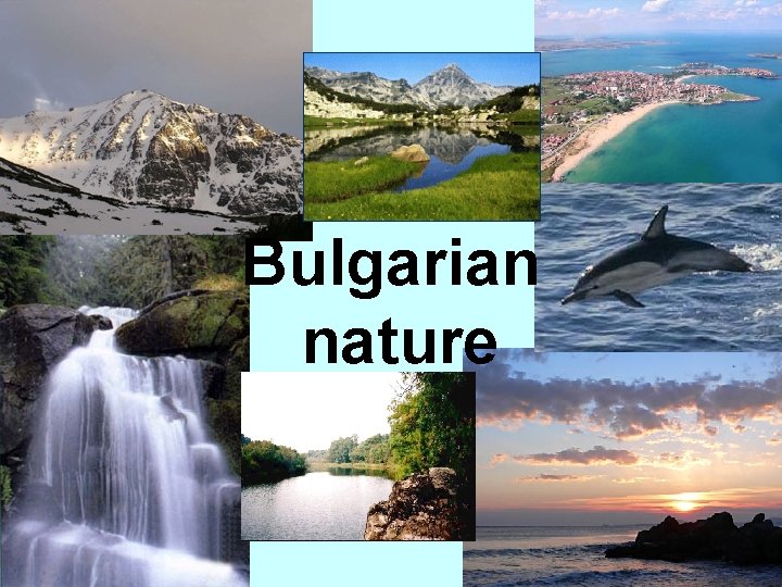 Bulgarian nature 