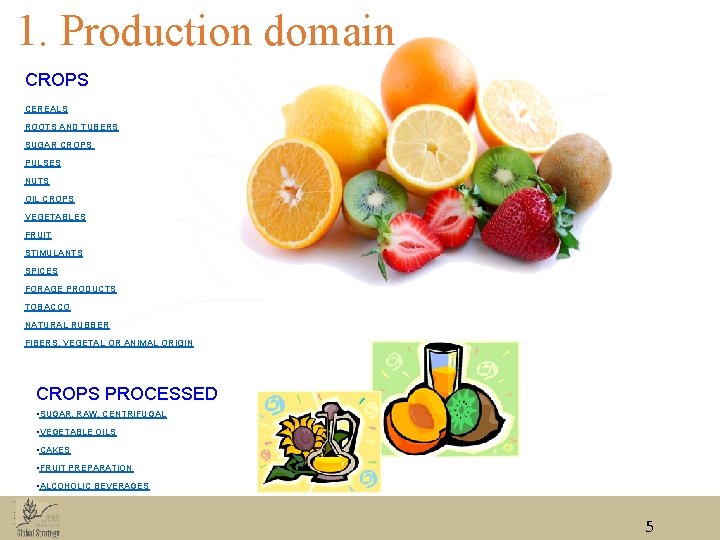 1. Production domain CROPS CEREALS ROOTS AND TUBERS SUGAR CROPS PULSES NUTS OIL CROPS