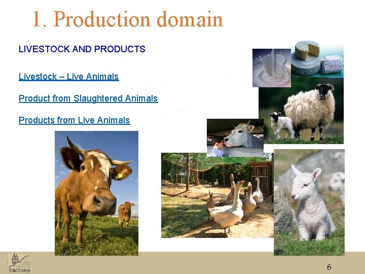 1. Production domain LIVESTOCK AND PRODUCTS Livestock – Live Animals Product from Slaughtered Animals