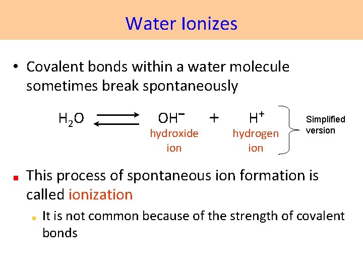 Water Ionizes • Covalent bonds within a water molecule sometimes break spontaneously H 2