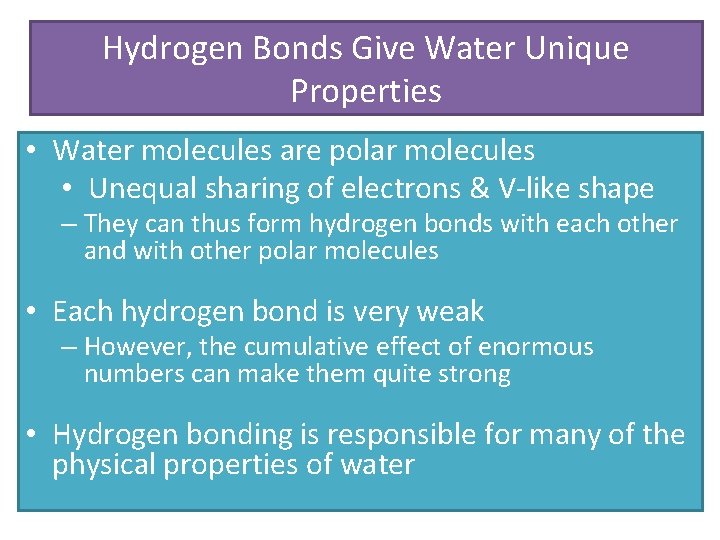 Hydrogen Bonds Give Water Unique Properties • Water molecules are polar molecules • Unequal