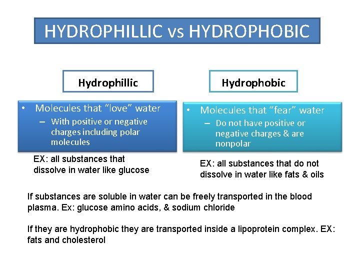 HYDROPHILLIC vs HYDROPHOBIC Hydrophillic • Molecules that “love” water – With positive or negative