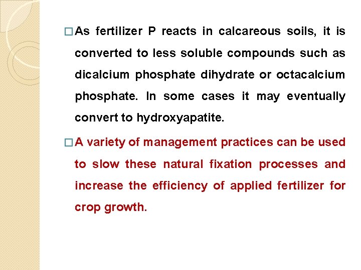 � As fertilizer P reacts in calcareous soils, it is converted to less soluble