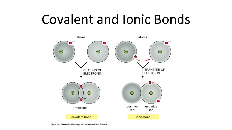 Covalent and Ionic Bonds 