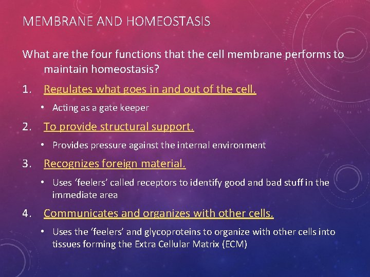 MEMBRANE AND HOMEOSTASIS What are the four functions that the cell membrane performs to