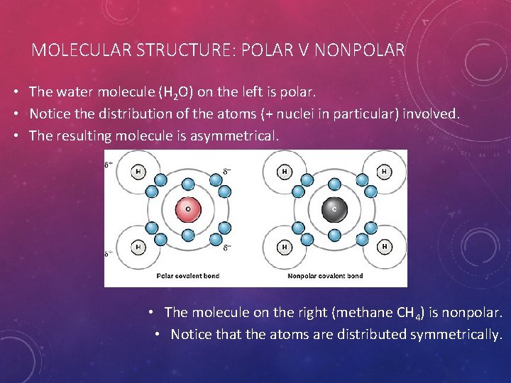 MOLECULAR STRUCTURE: POLAR V NONPOLAR • The water molecule (H 2 O) on the