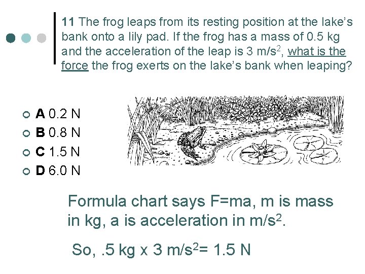 11 The frog leaps from its resting position at the lake’s bank onto a