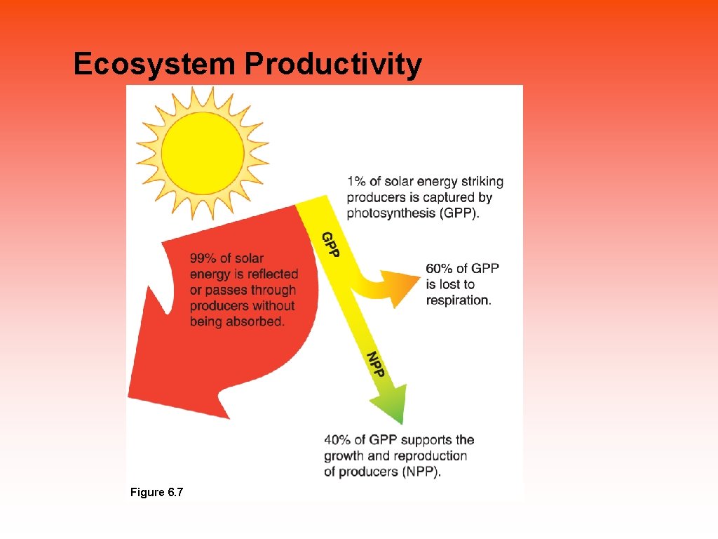 Ecosystem Productivity Figure 6. 7 