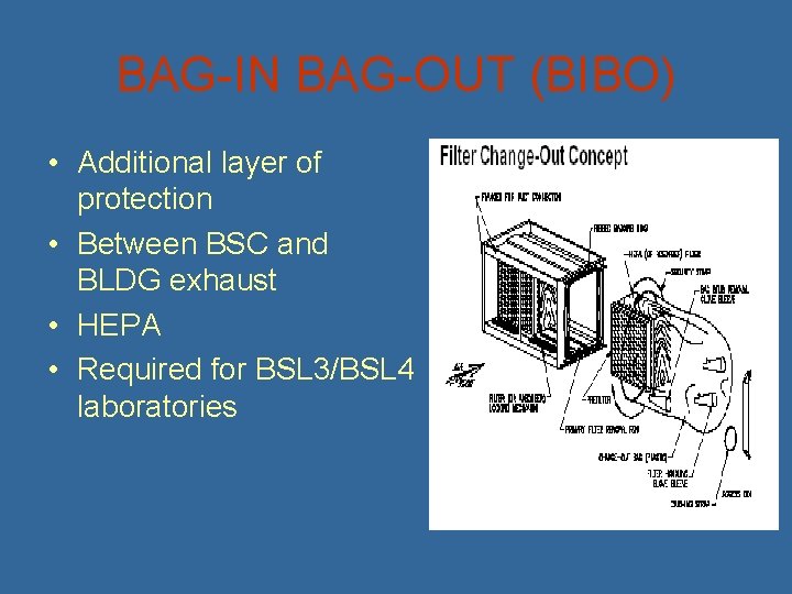 BAG-IN BAG-OUT (BIBO) • Additional layer of protection • Between BSC and BLDG exhaust