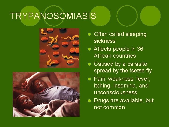 TRYPANOSOMIASIS l l l Often called sleeping sickness Affects people in 36 African countries