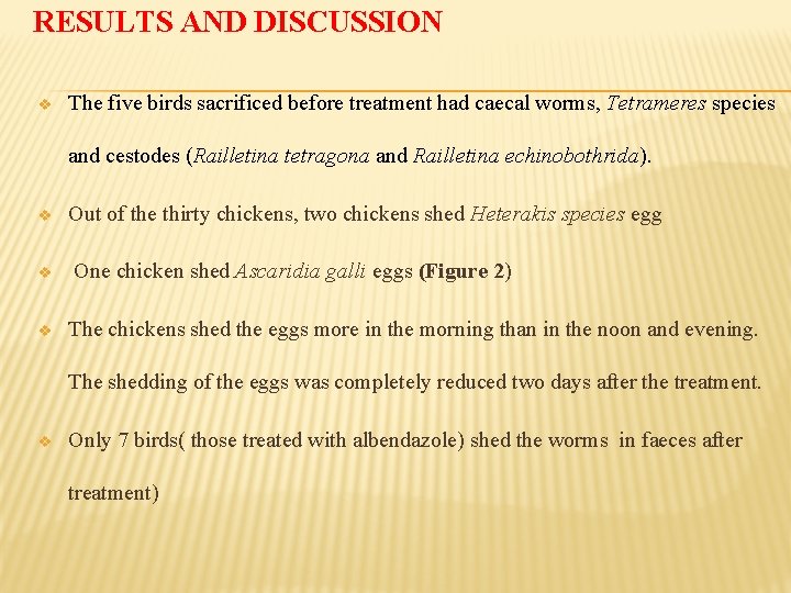 RESULTS AND DISCUSSION v The five birds sacrificed before treatment had caecal worms, Tetrameres
