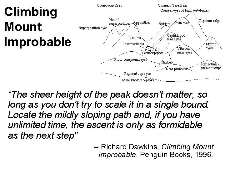 Climbing Mount Improbable “The sheer height of the peak doesn't matter, so long as