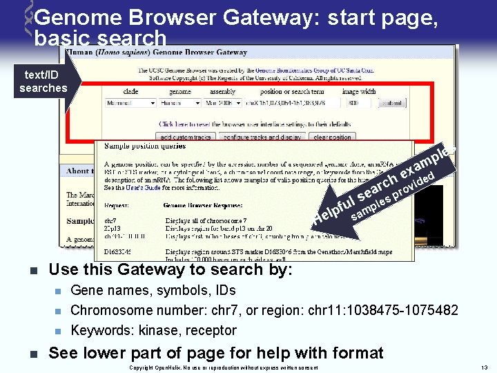 Genome Browser Gateway: start page, basic search text/ID searches le p m s xa