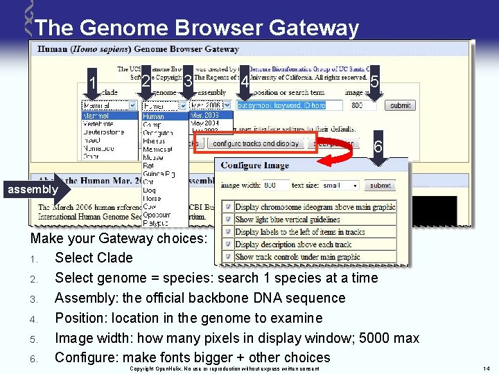 The Genome Browser Gateway 1 2 3 4 5 6 assembly Make your Gateway