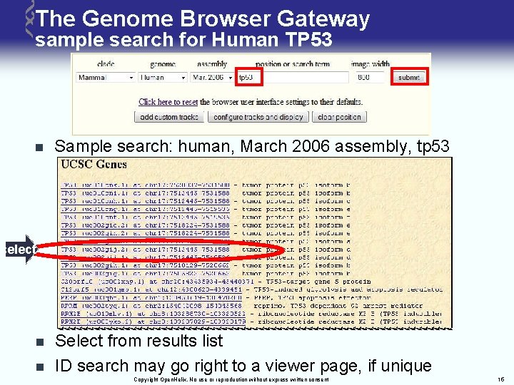 The Genome Browser Gateway sample search for Human TP 53 n Sample search: human,