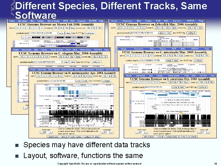 Different Species, Different Tracks, Same Software n n Species may have different data tracks