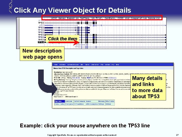 Click Any Viewer Object for Details Click the item New description web page opens