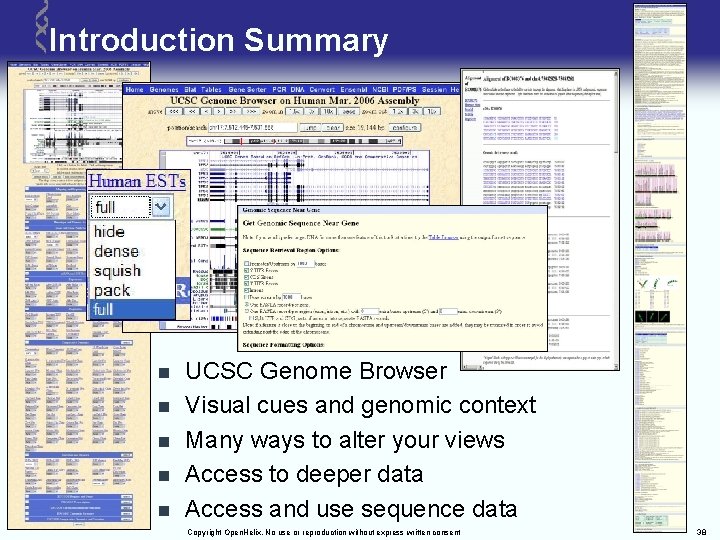 Introduction Summary n n n UCSC Genome Browser Visual cues and genomic context Many