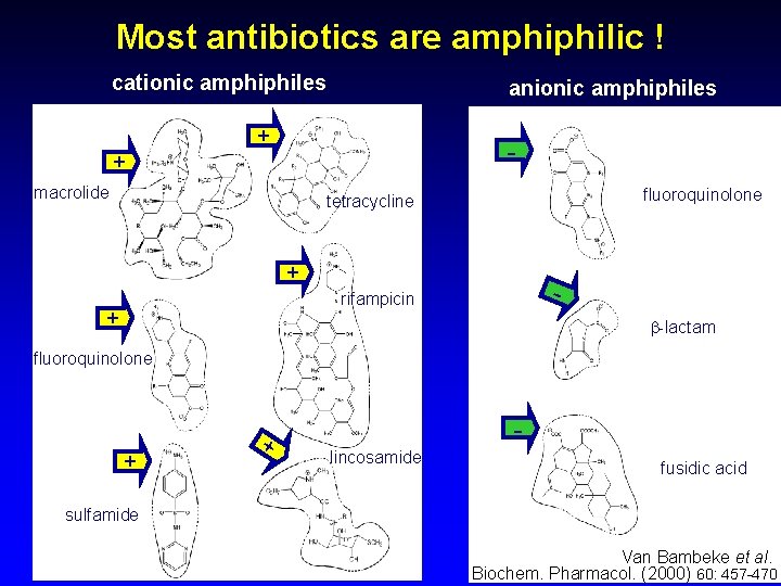 Most antibiotics are amphiphilic ! cationic amphiphiles anionic amphiphiles + - + macrolide fluoroquinolone