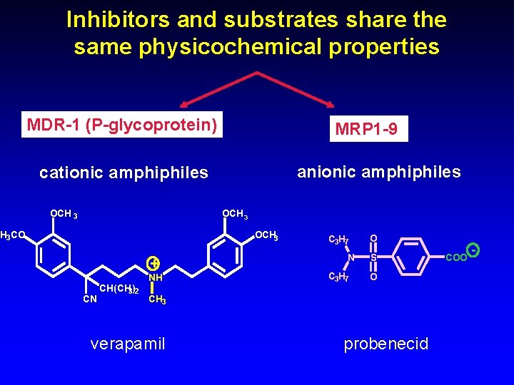 Inhibitors and substrates share the same physicochemical properties MDR-1 (P-glycoprotein) MRP 1 -9 anionic