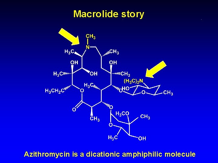 Macrolide story Azithromycin is a dicationic amphiphilic molecule 