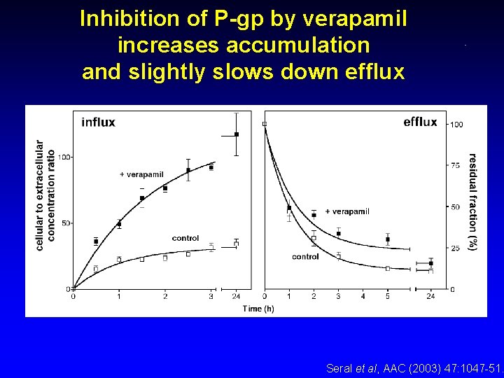 Inhibition of P-gp by verapamil increases accumulation and slightly slows down efflux Seral et