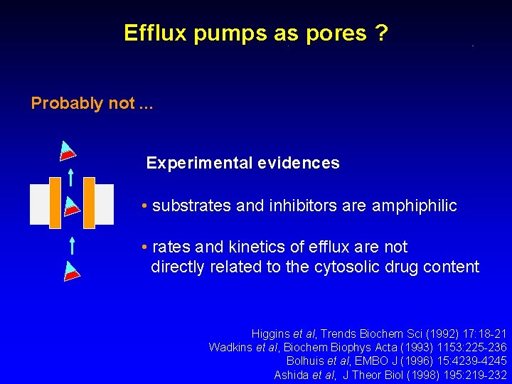 Efflux pumps as pores ? Probably not. . . Experimental evidences • substrates and