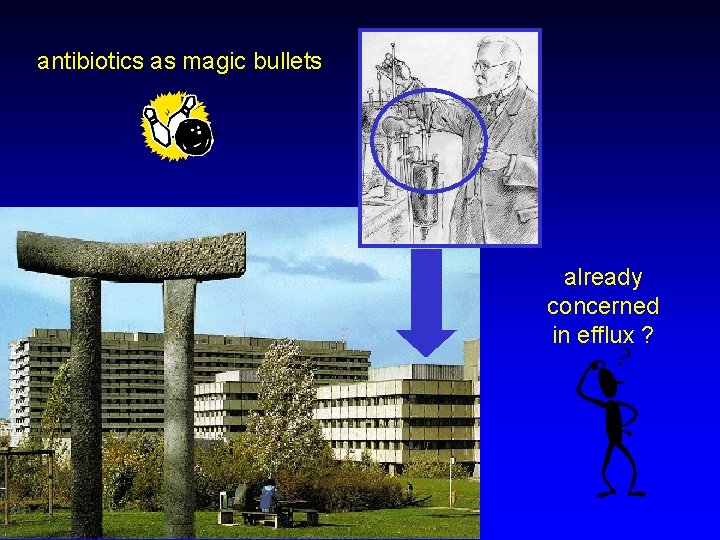 antibiotics as magic bullets already concerned in efflux ? 