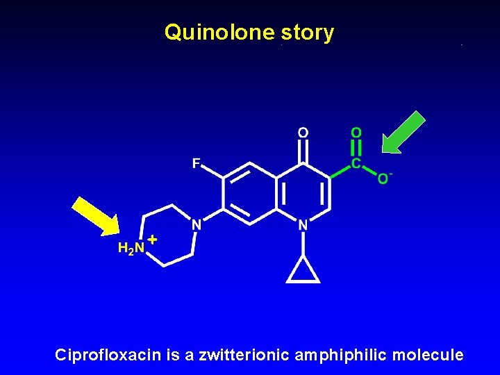 Quinolone story Ciprofloxacin is a zwitterionic amphiphilic molecule 