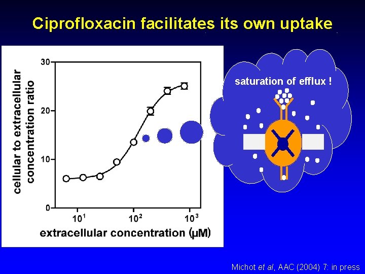 Ciprofloxacin facilitates its own uptake saturation of efflux ! Michot et al, AAC (2004)