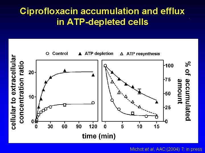 Ciprofloxacin accumulation and efflux in ATP-depleted cells Michot et al, AAC (2004) 7: in