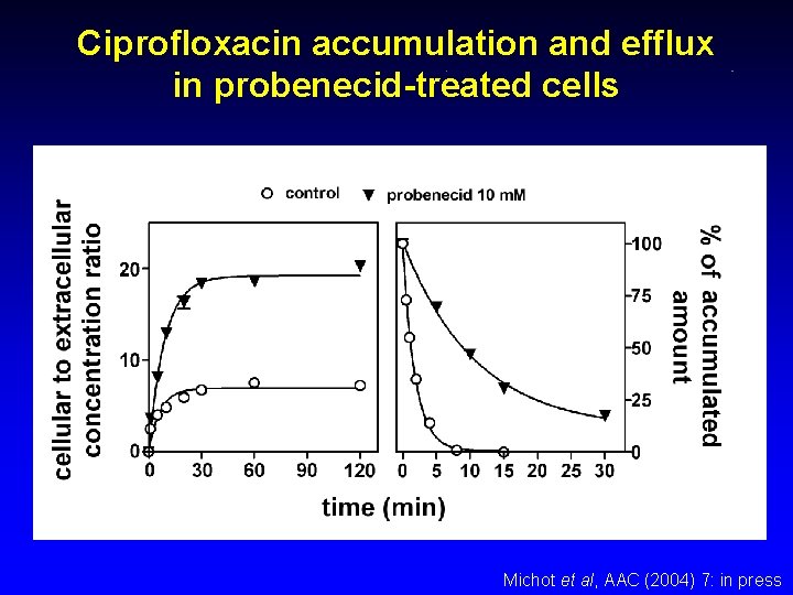 Ciprofloxacin accumulation and efflux in probenecid-treated cells Michot et al, AAC (2004) 7: in
