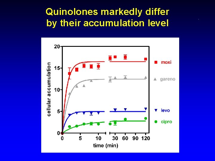 Quinolones markedly differ by their accumulation level 