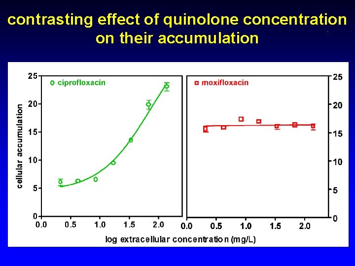 contrasting effect of quinolone concentration on their accumulation 