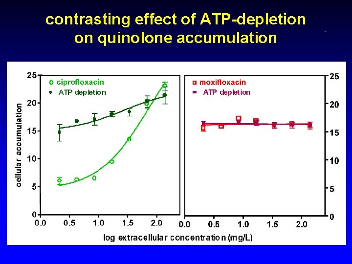 contrasting effect of ATP-depletion on quinolone accumulation 