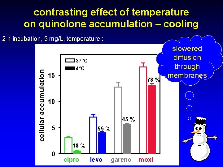contrasting effect of temperature on quinolone accumulation – cooling cellular accumulation 2 h incubation,