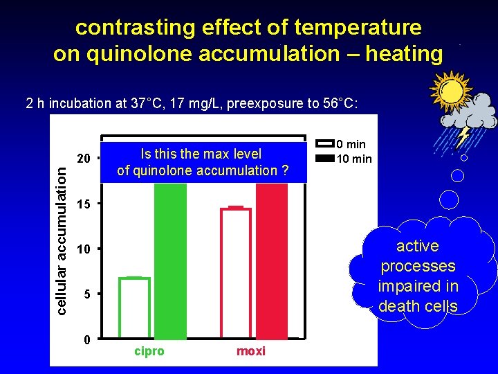 contrasting effect of temperature on quinolone accumulation – heating 2 h incubation at 37°C,