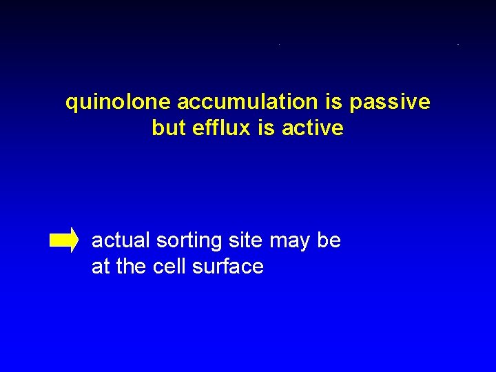 quinolone accumulation is passive but efflux is active actual sorting site may be at
