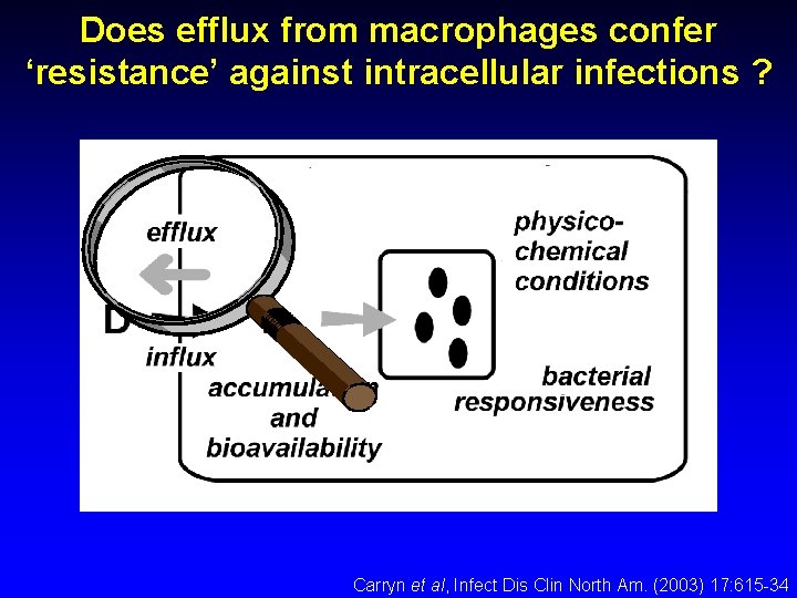 Does efflux from macrophages confer ‘resistance’ against intracellular infections ? Carryn et al, Infect
