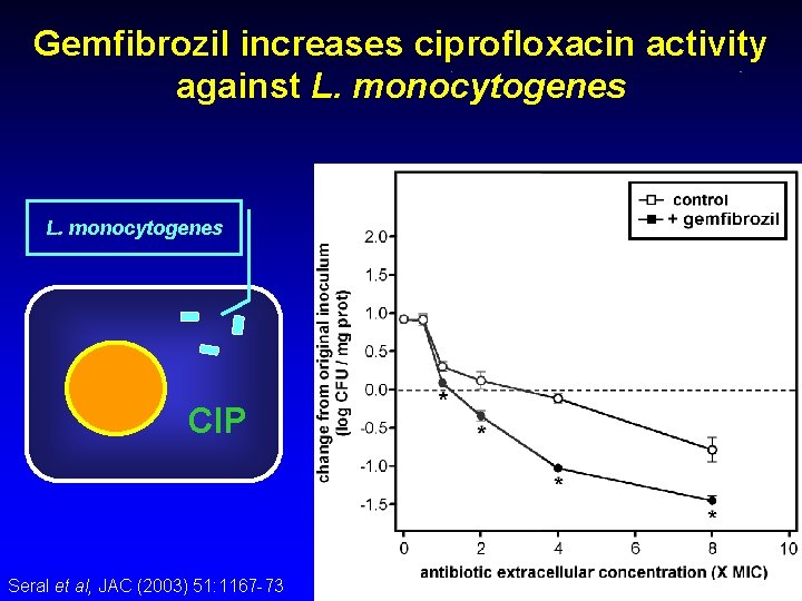 Gemfibrozil increases ciprofloxacin activity against L. monocytogenes CIP Seral et al, JAC (2003) 51: