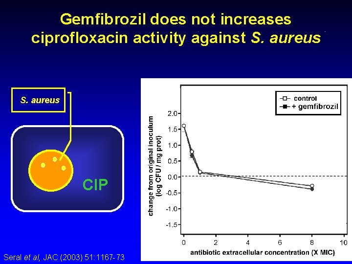 Gemfibrozil does not increases ciprofloxacin activity against S. aureus CIP Seral et al, JAC