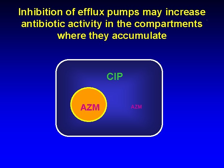 Inhibition of efflux pumps may increase antibiotic activity in the compartments where they accumulate