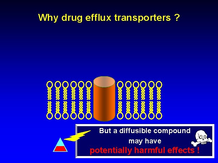 Why drug efflux transporters ? But a diffusible compound may have potentially harmful effects