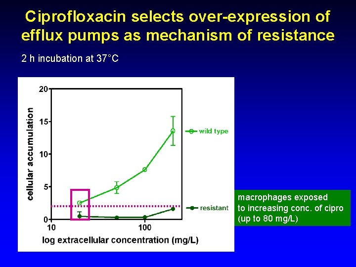 Ciprofloxacin selects over-expression of efflux pumps as mechanism of resistance 2 h incubation at