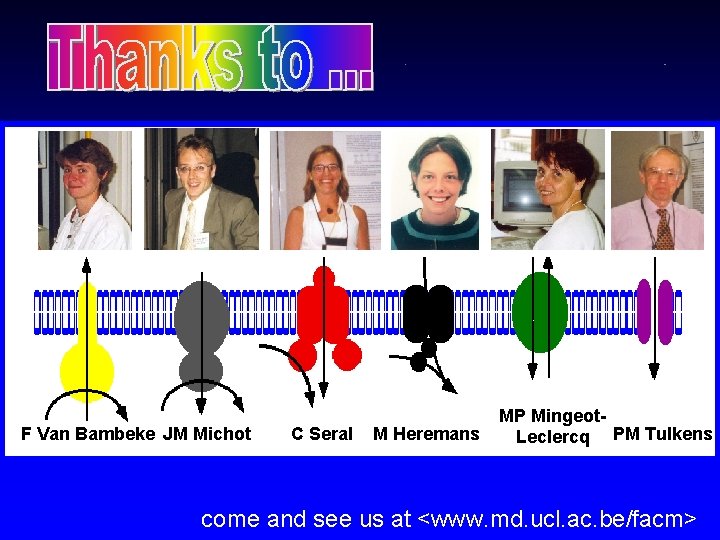 F Van Bambeke JM Michot C Seral M Heremans MP Mingeot. Leclercq PM Tulkens