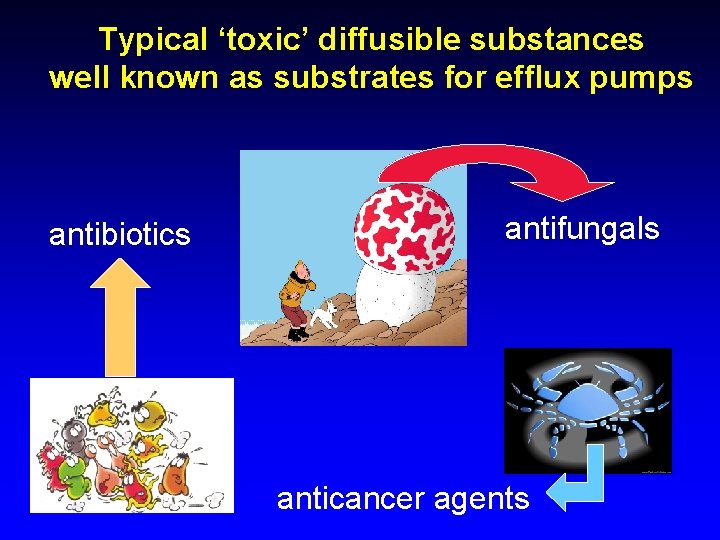 Typical ‘toxic’ diffusible substances well known as substrates for efflux pumps antibiotics antifungals anticancer
