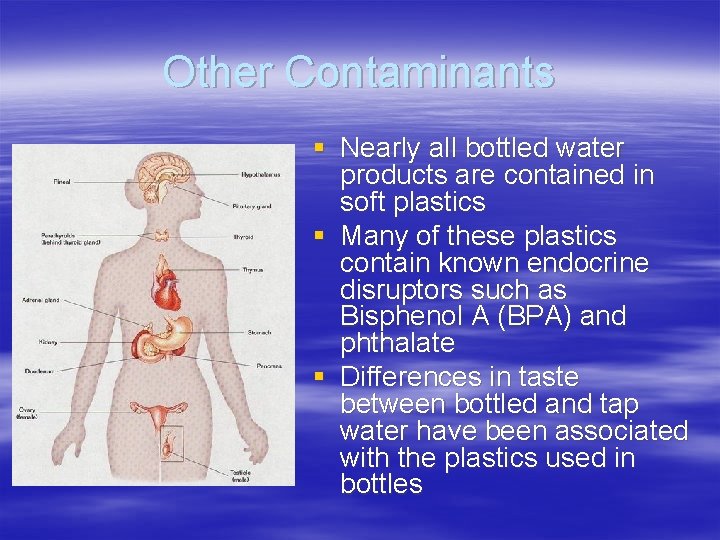 Other Contaminants § Nearly all bottled water products are contained in soft plastics § Other Contaminants § Nearly all bottled water products are contained in soft plastics §
