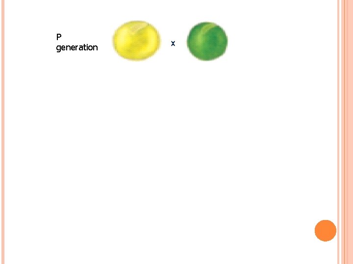 P generation x 