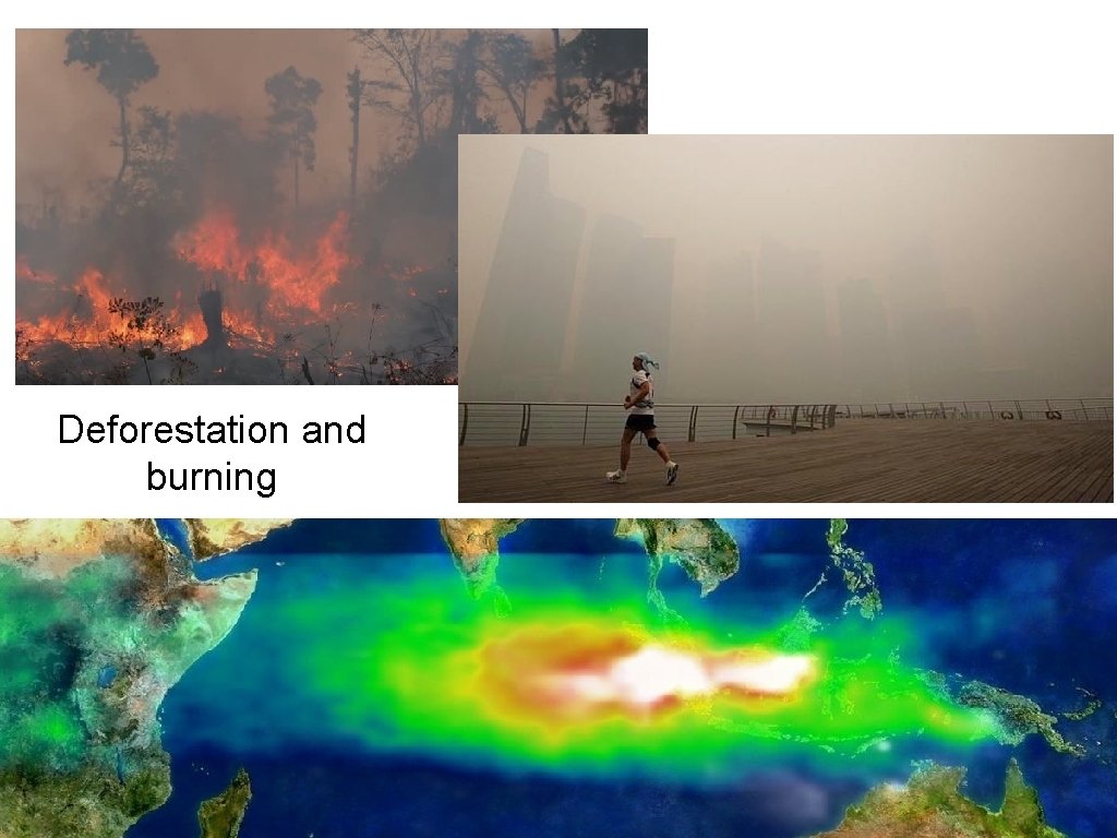 Deforestation and burning 