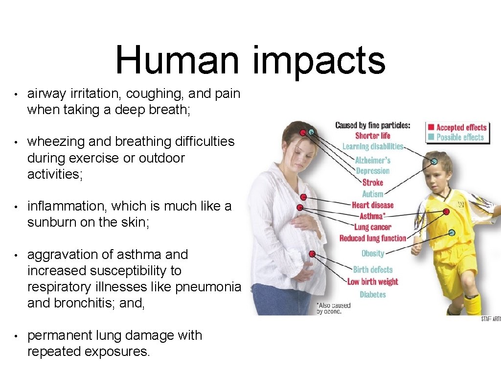 Human impacts • airway irritation, coughing, and pain when taking a deep breath; •